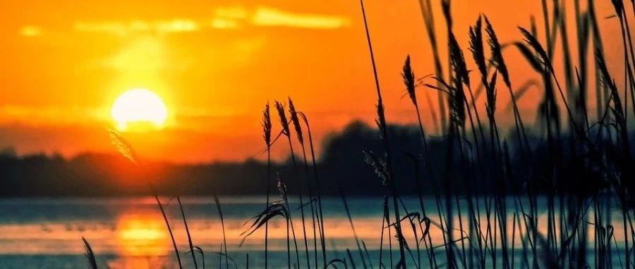 告别2020，迎接2021！-析模界