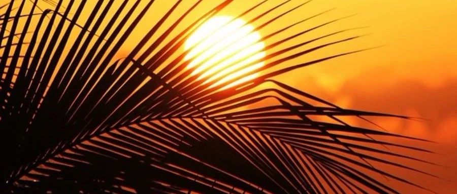 Fluent Meshing的workflow方法-析模界