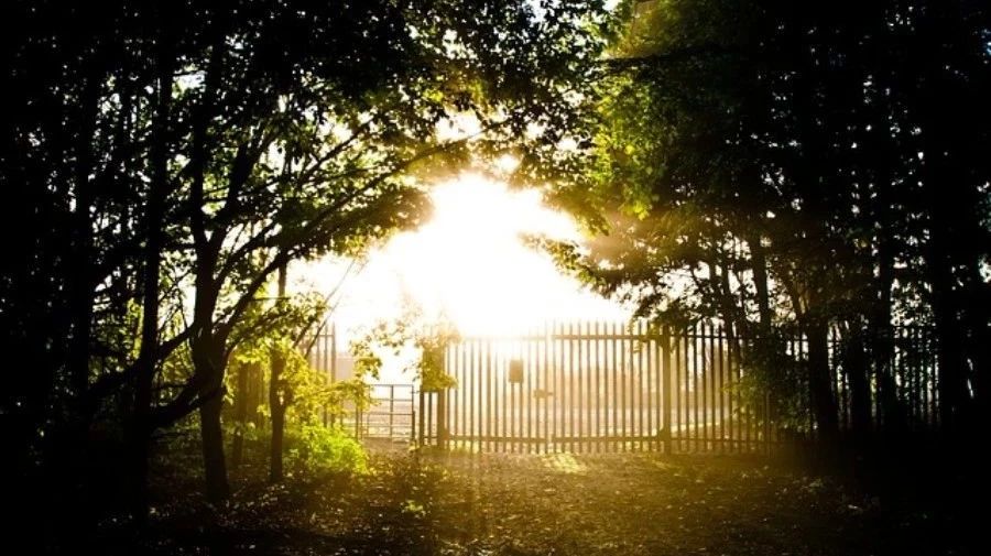 Fluent验证案例14：多组分射流混合-析模界