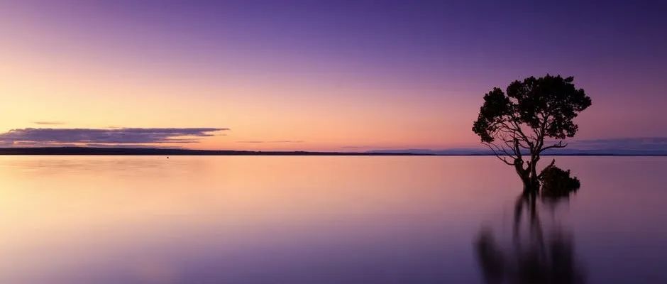 Fluent指南｜02 压力基求解器-析模界