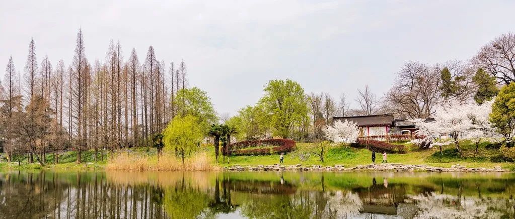 利用docker安装OpenFOAM-v2112-析模界