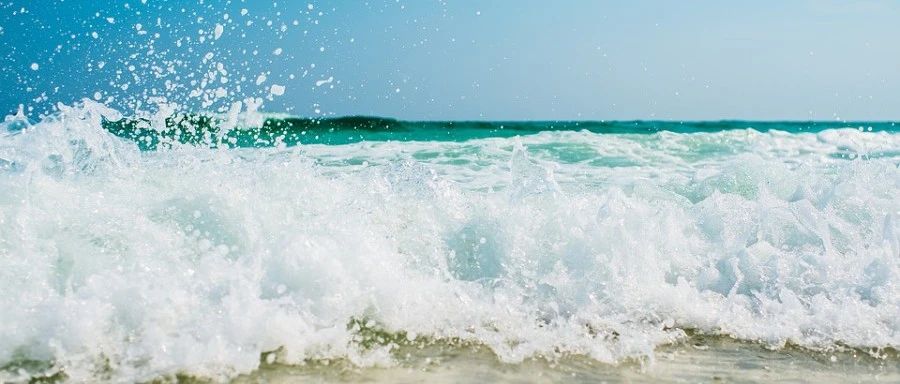 SRF、壁面运动及动网格-析模界