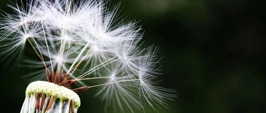 Fluent验证案例58:扩散管内湍流流动-析模界