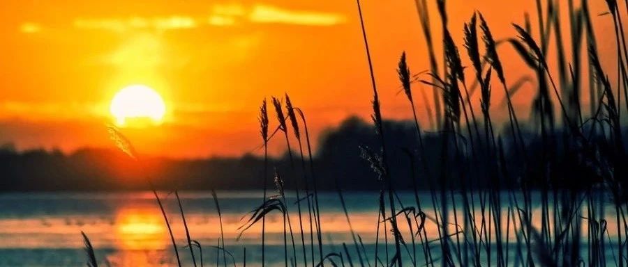 Fluent传热|02 共轭传热-析模界