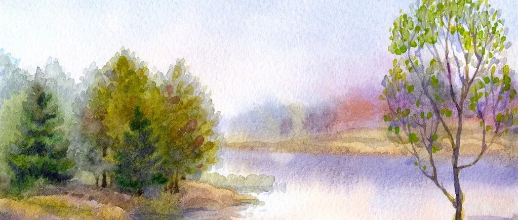 Rocky DEM添加外部模块-析模界