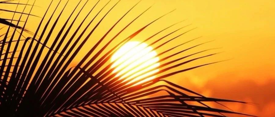 OpenFOAM｜验证08 旋转腔内流场-析模界