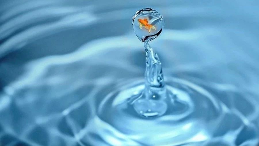 Fluent验证案例32：后体流动分离-析模界