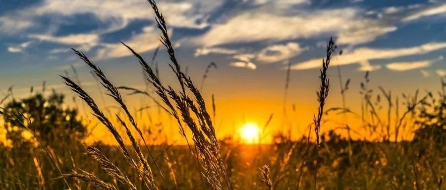 Fluent｜自定义材料数据库-析模界