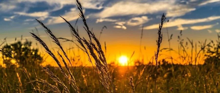 CFD理论扫盲|02 矩阵与张量-析模界