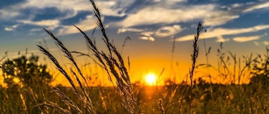 OpenFOAM｜01 Liunx基础-析模界