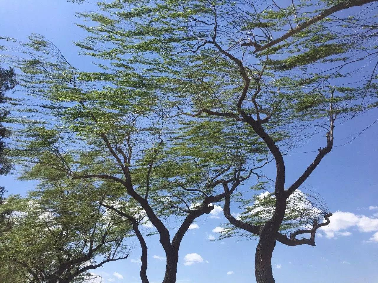 湍流—跑出自己行车道乱撞的流动-析模界