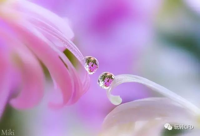 【一起学OpenFoam】01 OpenFoam的优势-析模界