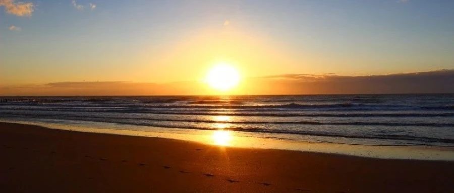 OpenFOAM｜验证07 管道内非牛顿流体流动-析模界