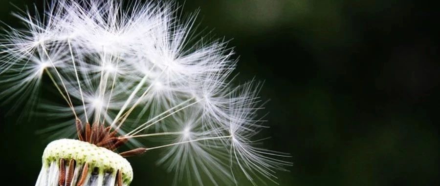 「耦合计算」双向流固耦合三重迭代-析模界