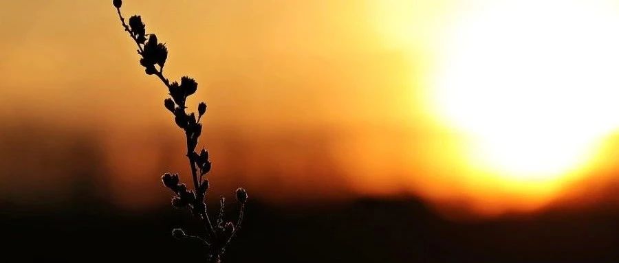 STAR CCM+｜12 三角腔体（续）-析模界