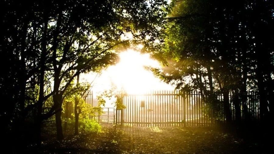 【网格】05：几何清理-析模界