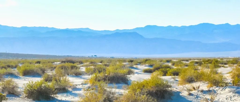 Tecplot案例｜09 数据验证-析模界