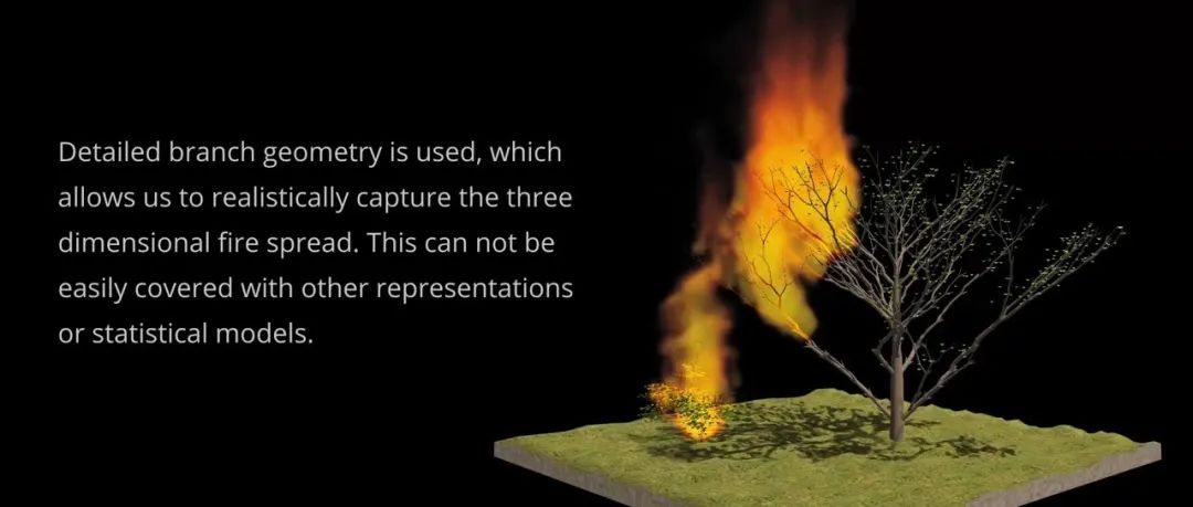 森林火灾模拟-析模界