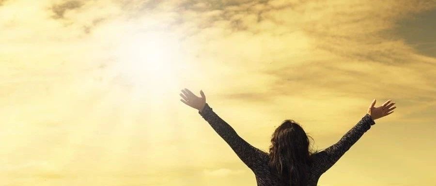 小白学CFD｜09 流程-析模界