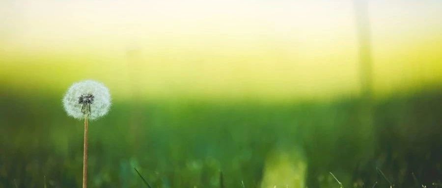 CFX案例|01 T型管混合-析模界