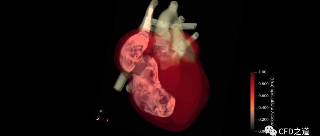 电-结构-流体三场耦合模拟心脏-析模界
