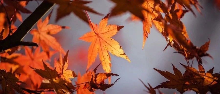 「胡思乱想」病得不轻-析模界