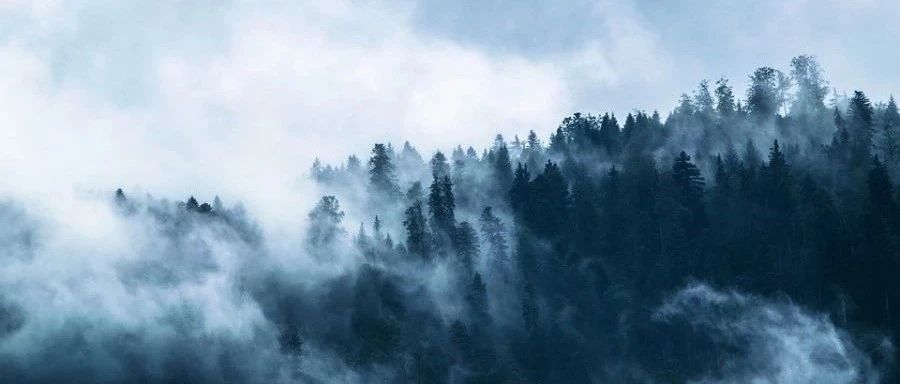 Rocky DEM|气力分选-析模界