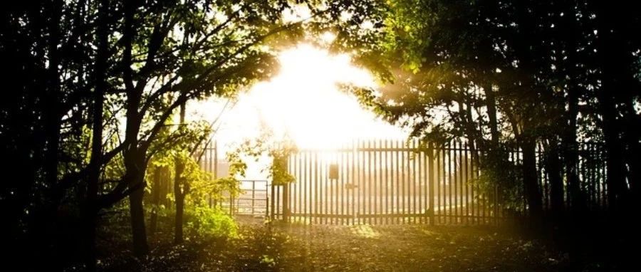 Fluent 2019中的表达式功能-析模界