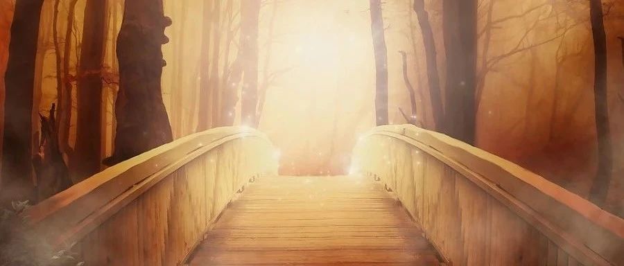 ANSA|图形缩放后CONS线消失的处理-析模界