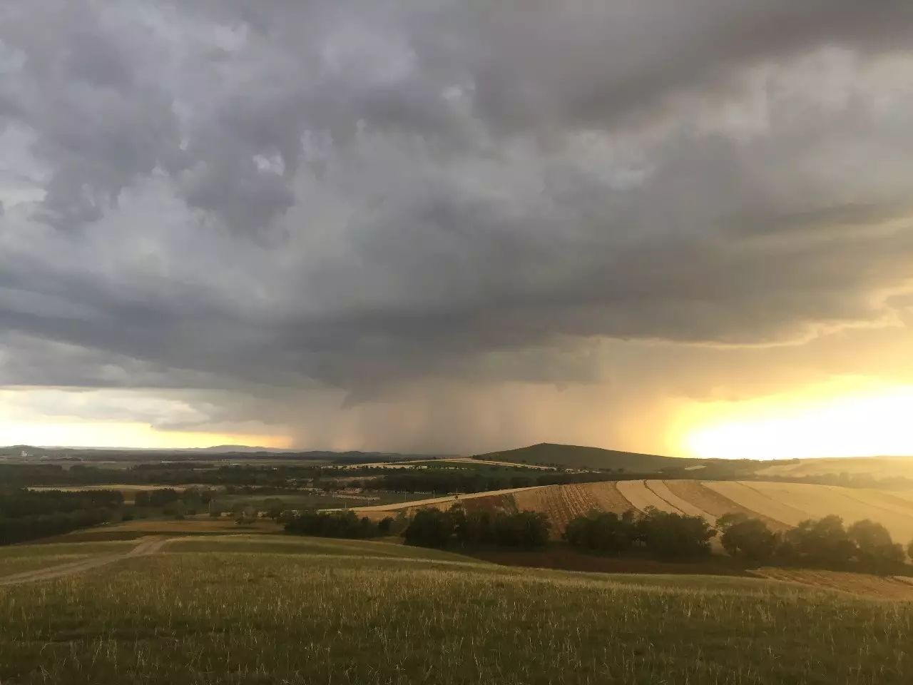 加班是安慰剂、兴奋剂和封口胶-析模界