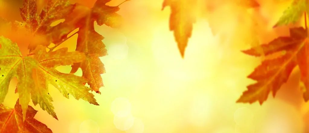 Fluent案例｜电路板热应力计算-析模界