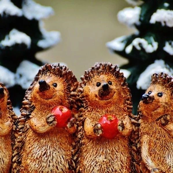 【STAR CCM+案例】04：压力梯度下的平面库艾特流动-析模界