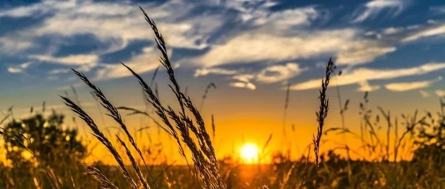 EDEM2020+Fluent2020R2耦合接口编译-析模界