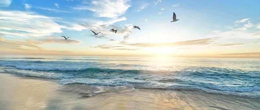 电化学反应｜01 基础理论-析模界