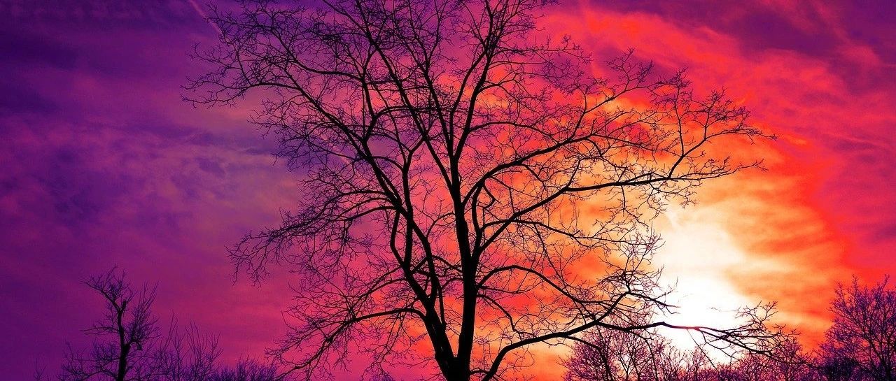 Fluent化学反应|01 体积反应理论-析模界