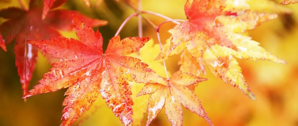 学习的策略与方法-析模界