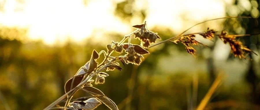 偏心旋转的处理方式-析模界