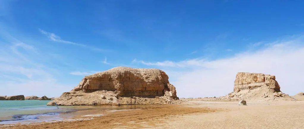 活捉两只Fluent Bug-析模界