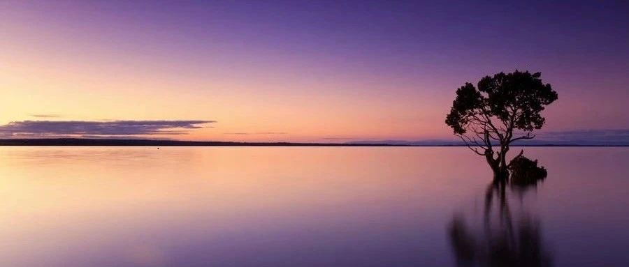 CFD职业状况调研报告（第二版）-析模界