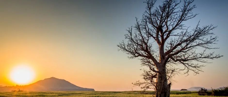 流固热耦合计算总结-析模界