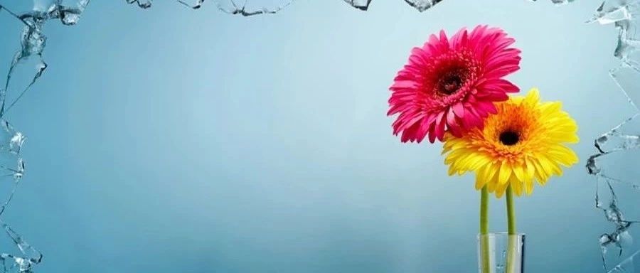 「胡言」后处理-析模界