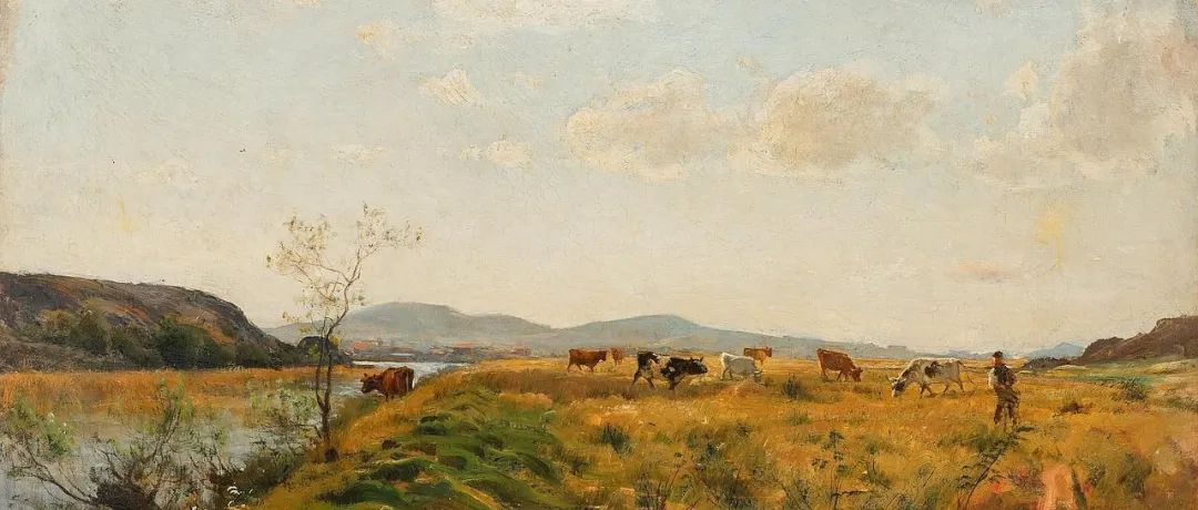 STAR CCM+案例｜凸轮鼓风机-析模界