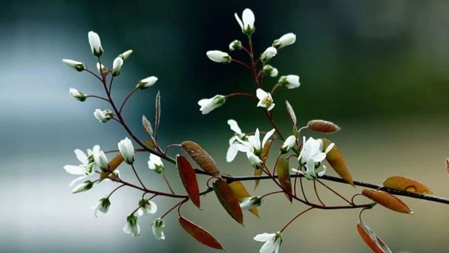 【多相流计算】案例02：旋涂工艺-析模界