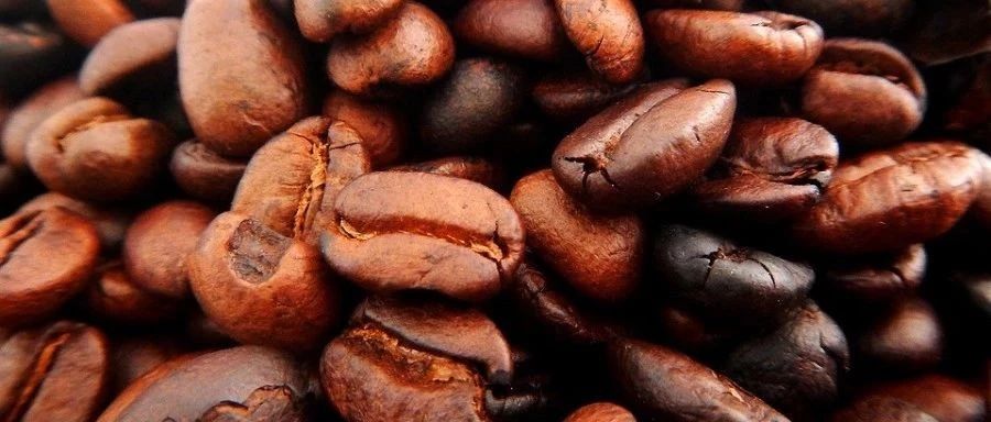 Rocky DEM|传送带-析模界