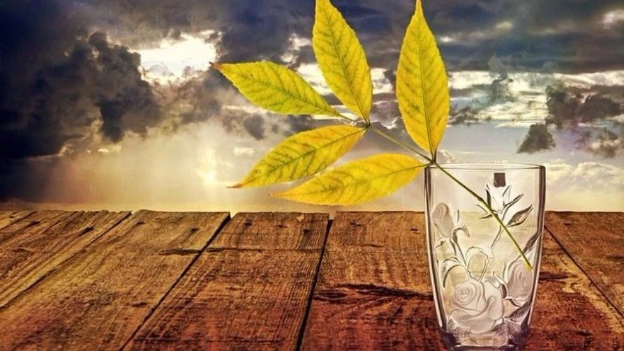 【PointWise】02：T-Rex网格-析模界