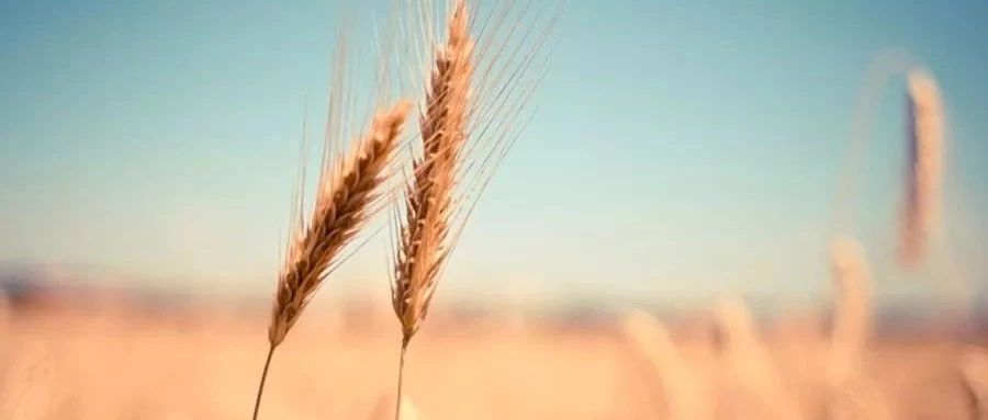 OpenFOAM教程｜06 歧管湍流流动-析模界