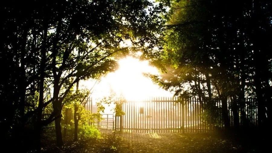 Fluent重叠网格-析模界