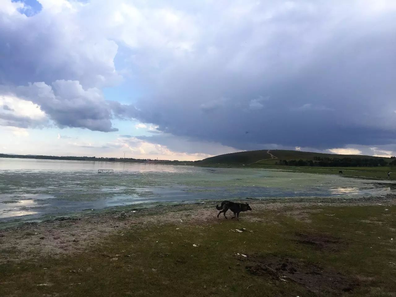 一张嘴搞定世界-析模界