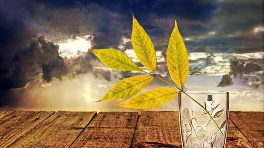 关于CFD案例的那点破事儿-析模界