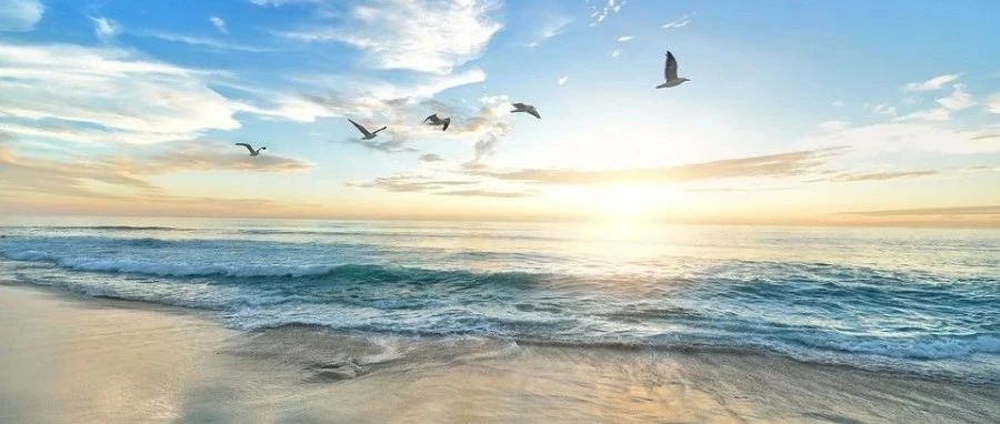 数太阳:Day 2-析模界